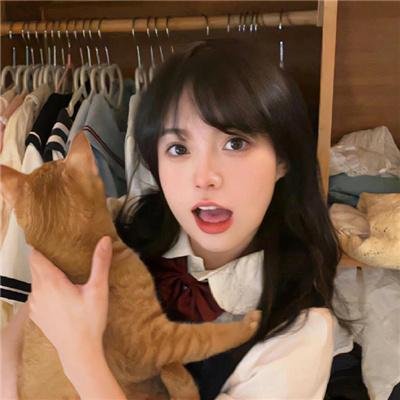 山脉公路